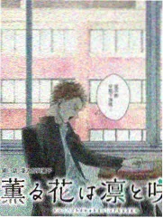 动漫观看体验实测配图